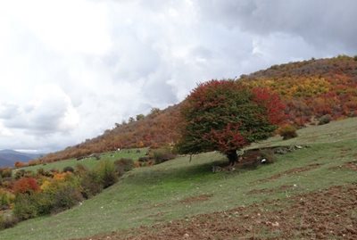 پارک ملی پابند