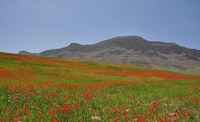 لردگان-گنبد-نمکی-باغ-بهزاد-107664