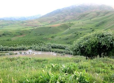 اشنویه-روستای-بیمضرته-107791