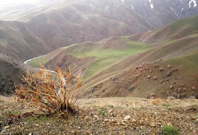 اشنویه-روستای-بیمضرته-107792