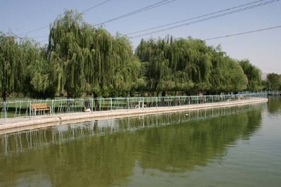 تهران-دریاچه-پارک-آزادگان-108567