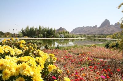 بهارستان-دریاچه-مصنوعی-زیتون-بهارستان-108862