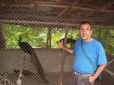 باغ پرندگان ماسال