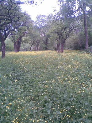 خلخال-روستای-مجدر-111810