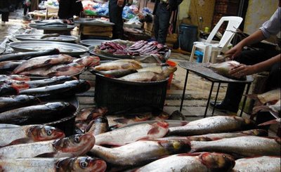 لنگرود-بازار-ماهی-فروشان-لنگرود-112186