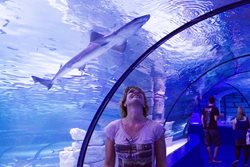 آکواریوم آنتالیا Antalya Aquarium