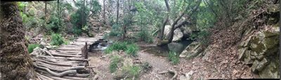 کوش-آداسی-جزیره-ساموس-samos-island-114230