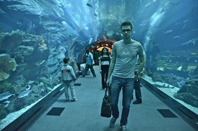 دبی-آکواریوم-دبی-Dubai-Aquarium-Underwater-Zoo-114337