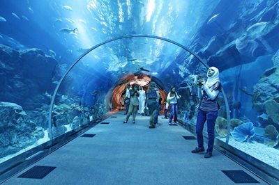 آکواریوم دبی Dubai Aquarium & Underwater Zoo