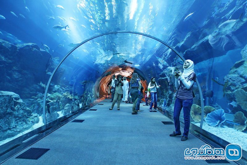 آکواریوم دبی Dubai Aquarium & Underwater Zoo