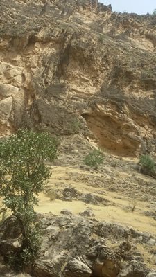 ایلام-تنگه-کافرین-114849