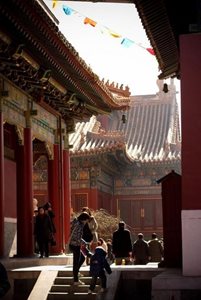 پکن-معبد-لاما-Lama-Temple-116123