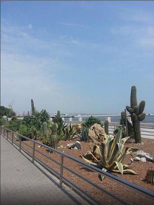 باکو-بلوار-باکو-Seaside-Boulevard-116255