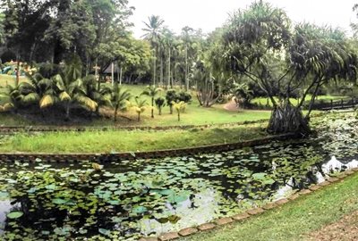 کوالالامپور-باغ-دریاچه-کوالالامپور-Perdana-Botanical-Gardens-116491