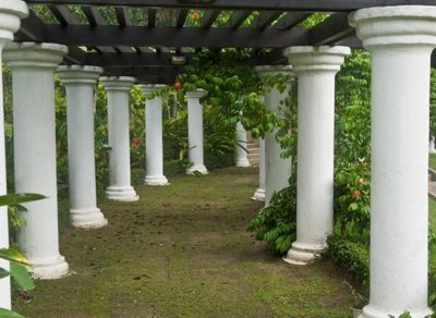 کوالالامپور-باغ-دریاچه-کوالالامپور-Perdana-Botanical-Gardens-116489