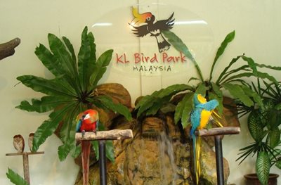 کوالالامپور-باغ-پرندگان-کوالالامپور-KL-Bird-park-116533
