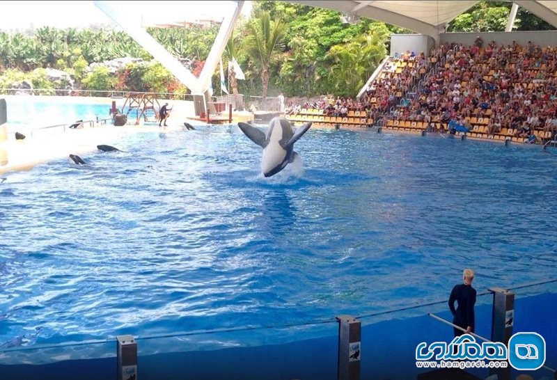 لورو پارک Loro Parque