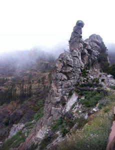 جزایر-قناری-پارک-ملی-گاراجونای-Garajonay-National-Park-117304