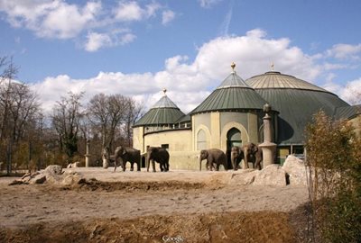 مونیخ-باغ-وحش-هلابرون-tierpark-hellabrunn-117414