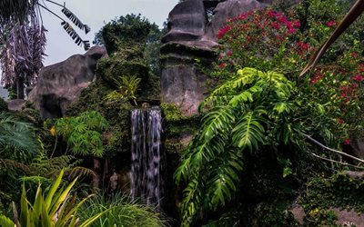 پینانگ-مزرعه-پروانه-Penang-Butterfly-Farm-117454