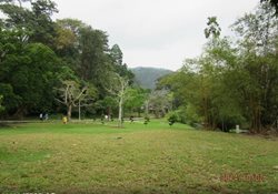 باغ گیاه شناسی پنانگ Penang Botanic Garden