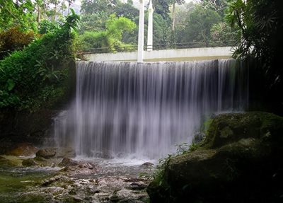 پینانگ-باغ-گیاه-شناسی-پنانگ-Penang-Botanic-Garden-117961