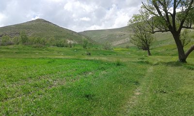 نیر-روستای-سرخاب-119567