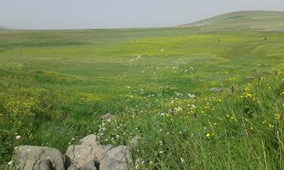 نیر-روستای-سرخاب-119575
