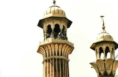 دهلی-نو-مسجد-جامع-دهلی-Jama-Masjid-120236