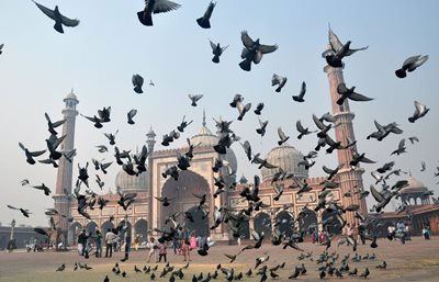 دهلی-نو-مسجد-جامع-دهلی-Jama-Masjid-120238