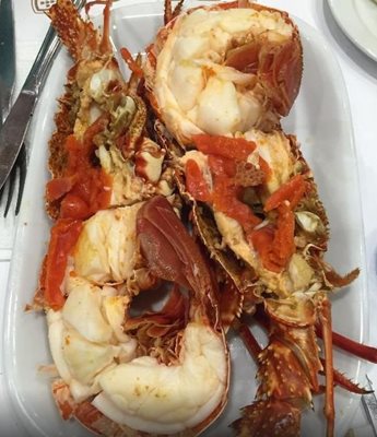 لیسبون-رستوران-دریایی-Cervejaria-Ramiro-122722