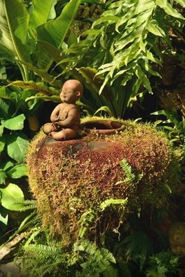 پاتایا-باغ-استوایی-نانگ-نوچ-Nong-Nooch-Tropical-Garden-122823