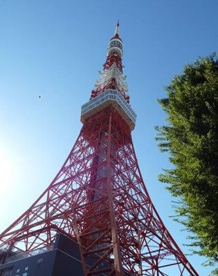 توکیو-برج-توکیو-Tokyo-Tower-123686