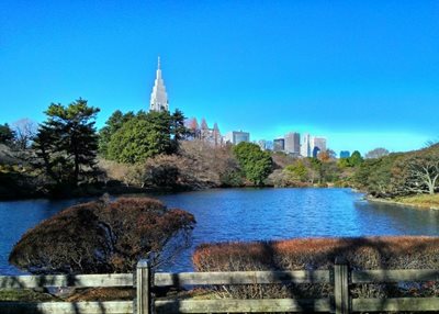 توکیو-پارک-ملی-شینجوکو-گیوئن-Shinjuku-Gyoen-National-Garden-123720