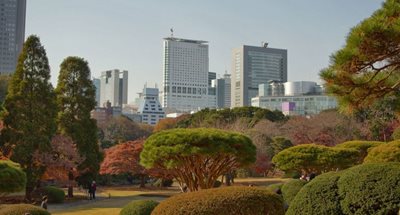 توکیو-پارک-ملی-شینجوکو-گیوئن-Shinjuku-Gyoen-National-Garden-123725