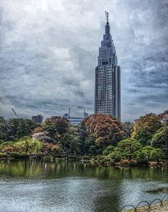 توکیو-پارک-ملی-شینجوکو-گیوئن-Shinjuku-Gyoen-National-Garden-123713