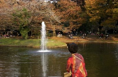 توکیو-پارک-یویوگی-Yoyogi-Park-123768