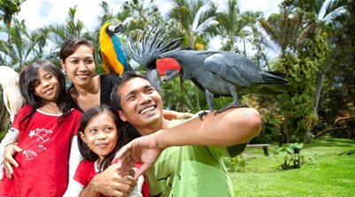 پارک پرندگان بالی Bali Bird Park