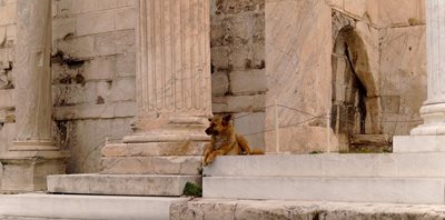 آتن-آگورای-باستانی-Ancient-Agora-of-Athens-126022