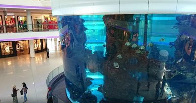 کازابلانکا-مرکز-خرید-مراکش-Morocco-Mall-126922