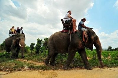 پاتایا-دهکده-فیل-ها-Elephant-Village-Pattaya-127410