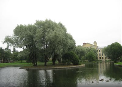 سن-پترزبورگ-کاخ-یوسوپف-Yusupov-Gardens-127630