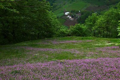 آستارا-روستای-گیلده-129056