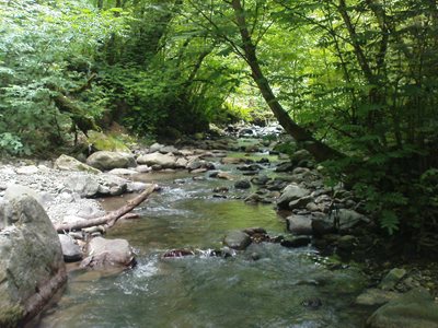 سیاهکل-روستای-بالارود-131366
