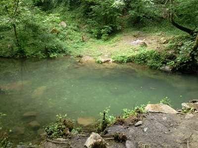 سیاهکل-روستای-بالارود-131371