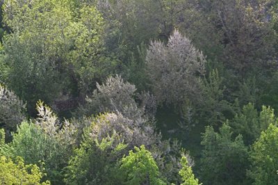 فاروج-روستای-خسرویه-133176