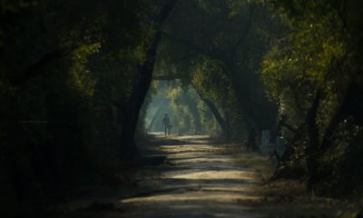 آگرا-پارک-ملی-کلادو-Keoladeo-National-Park-133880