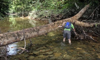 ساراواک-پارک-ملی-کونونگ-مولو-Gunung-Mulu-National-Park-135209