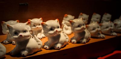 ساراواک-موزه-گربه-Cat-Museum-135422