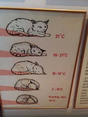 ساراواک-موزه-گربه-Cat-Museum-135425